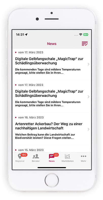 News Screen